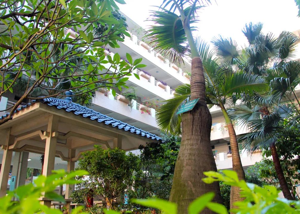 全市拟招500人户籍不限深圳市崛起实验中学开放预约咨询啦家长们赶紧